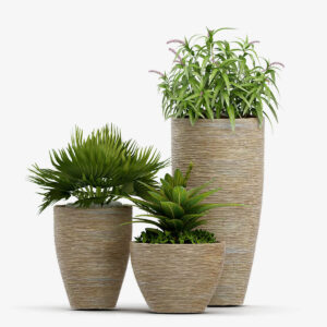 Tedo Organic Palm Ultra Vase Set