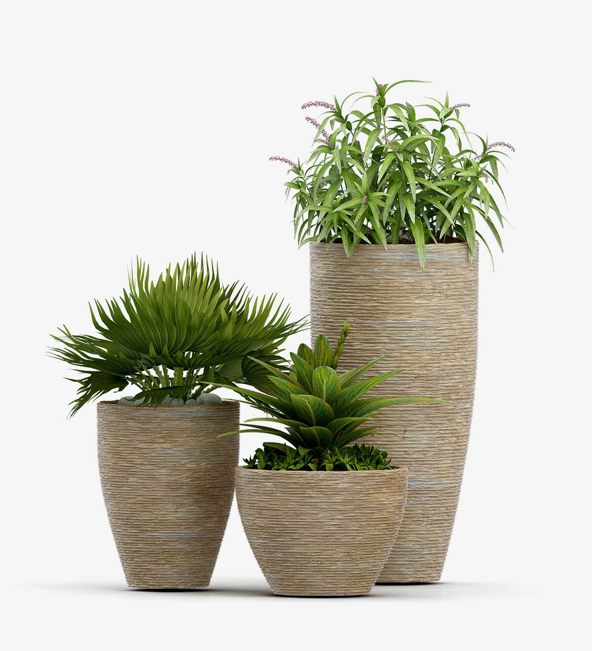 Tedo Organic Palm Ultra Vase Set