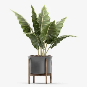 Emporium Royal Stand Vase With Tree