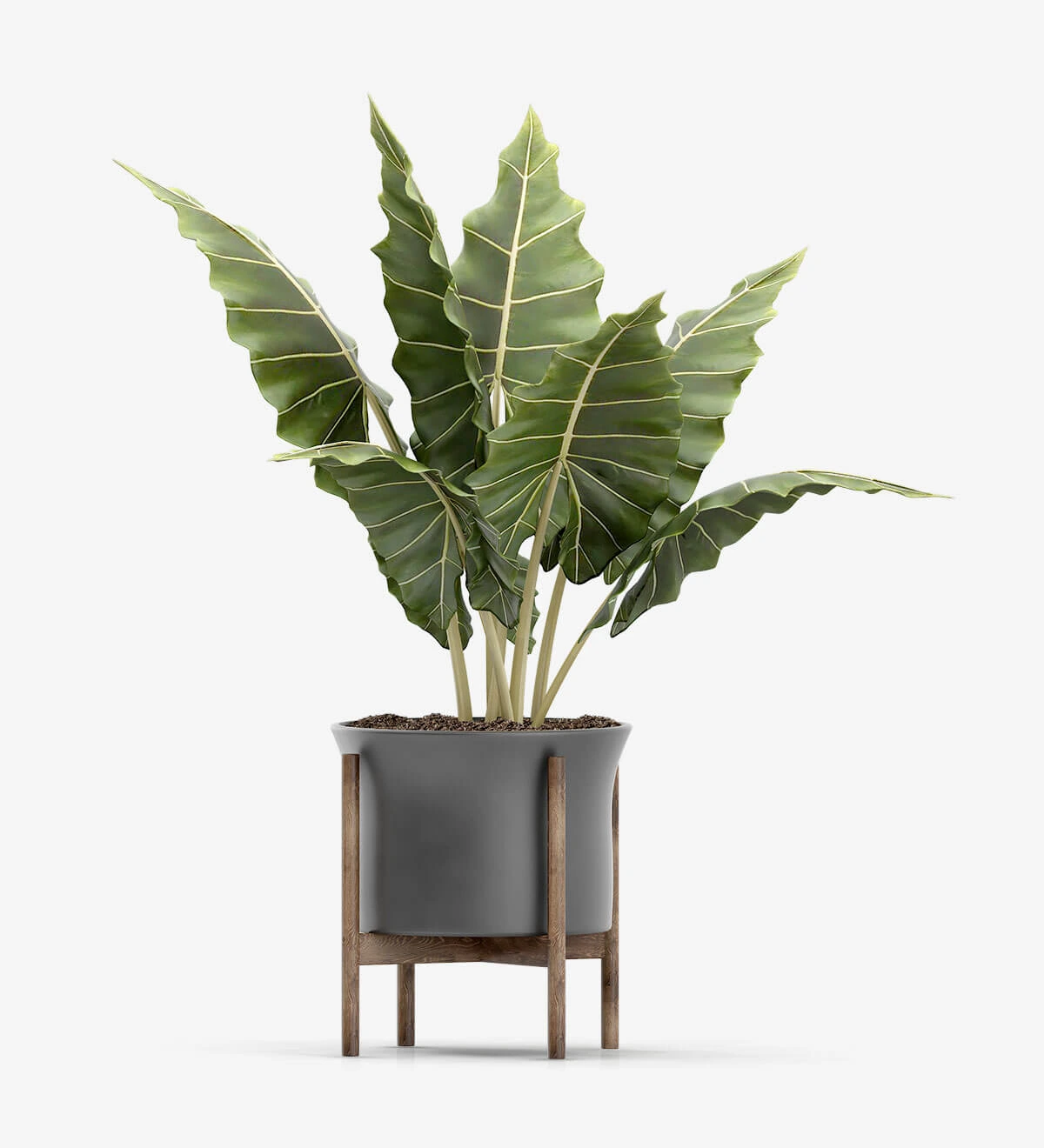 Emporium Royal Stand Vase With Tree